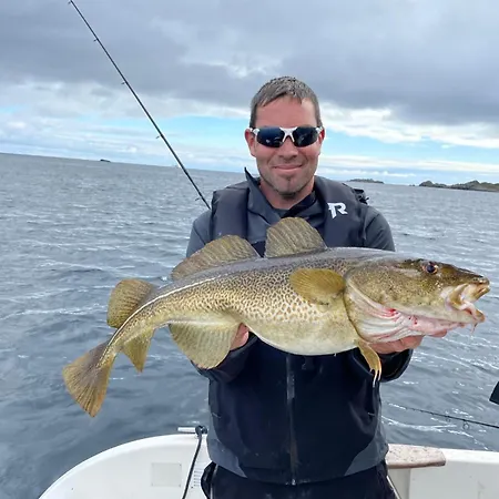 بيت للعطل Sandersstua 2, Luxury Family With Private Whirlpool In Stamsund *