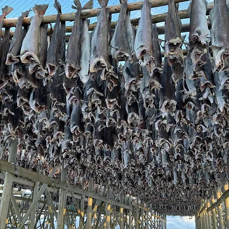 Sandersstua 2, Luxury Family With Private Whirlpool In Stamsund